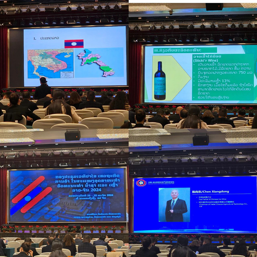 161734318930122692.jpg 微信图片_20241216111311.jpg